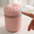 Cross-Border E-Commerce Shuguang Humidifier Creative Candy Color Spray USB Humidifier Car Mute Humidifier