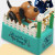 Foreign Trade New Fence Dog Money Saving Box Dog Money Saving Box Electric Cartoon Steal Enough Money Fan Dog Coin Bank