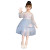 Girl Mesh Skirt Spring 2021 New Korean Style Western Style Children Princess Dress Spring and Autumn Net Red Girl Dress