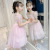 Girls' Princess Dress Summer 2021 New Fashionable Korean Style Children's Skirt Summer Dress for Little Girls Mesh Dress