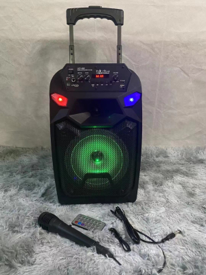 Audio 8-Inch Outdoor Activity Place Karaoke Small Speaker with Wired Microphone