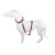Processing Customized Dog Original Rope Medium Large Dog Pet Supplies Traction Belt Suit Denim Collar