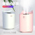 New Double Nozzle Large Capacity Humidifier Office Air Humidifier Desktop Home Mute Humidifier