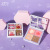 Evi Daily Food Notes Blush Highlight Shading Powder Makeup Palette Face Brightening Matte Nose Shadow Makeup Palette