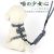 New Pet Hand Holding Rope Cat Japanese Style Traction Belt Small Floral Cat Chain Dog Rope I-Shaped Cat Rope