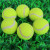 Pet Toys Tennis Level 2 Dog Tennis Micro Elastic Dog Training Ball Teddy Training Toy Ball Supplies