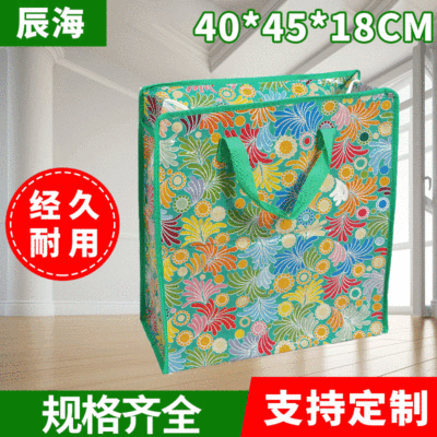 Color Printing Coated Woven Bag Film Pp Woven Bag Student Packing Luggage Moving Bag Wholesale