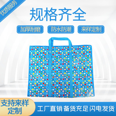Non-Woven Fabric Moving Bag Luggage Bag Thickened Multifunctional Two-Way Zipper Quilt Packaging Buggy Bag Wholesale