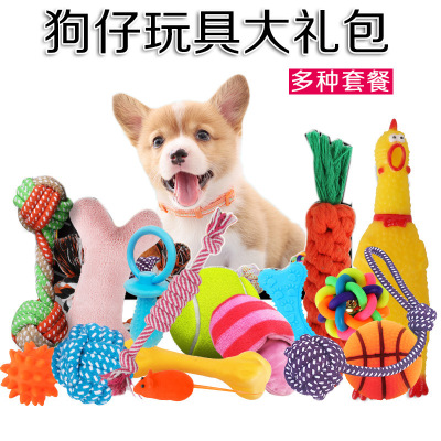Pet Toy Dog Set Toy Sounding Toy Dog Toy for Dog Training Teddy/Golden Retriever