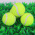 Pet Tennis Soft High Elastic Dog Ball Golden Retriever Teddy Toy Ball Molar Pet Supplies