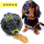 Dog Snacks Food Dropping Ball Pet Leakage Food Feeder Squall Ball Teddy Bichon Golden Retriever Toy Ball Molar Benefit