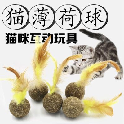 New Catnip Ball Cat Snack Tooth Cleaning Molar Depilation Ball Cat Feather Toy Cat Grass Wholesale
