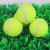 Pet Toys Tennis Level 2 Dog Tennis Micro Elastic Dog Training Ball Teddy Training Toy Ball Supplies