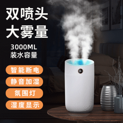 Cross-Border Creative New Domestic Humidifier 3L Large Capacity Portable Office Double Spray Air Purifier