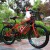 Bicycle Baby Bicycle Mountain Bike Primary School Student Bicycle 8-15 Years Old Bicycle 20-Inch 22-Inch Geared Bicycle