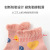 SocksChildren's Socks Summer Thin Boy Girl Baby Mesh Boat Socks Student Socks Spring and Summer