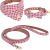 Factory Direct Supply Pet Collar Spot Houndstooth Bow Handle Triangular Binder Set Bell Collar Customization
