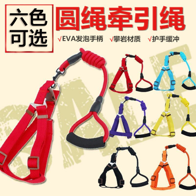 New Pet Hand Holding Rope Dog Traction Belt Cat Dog Rope Dog Chain round Rope Leash Set Collar Supplies