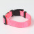 Pet Supplies Factory Direct Sales Supply Nylon Pet Ring Multiple Colors Belt Quality Pet Collar