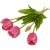 Artificial Soft Rubber Tulip Bouquet PE Latex Or Silicone Tulip Flower Artificial Flower Moisturizing Feel 5 Tulip