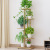 Cross-Border Solno Flower Stand 5 Layers 6 Pots Indoor Home Balcony Rack Iron Living Room Simple Hanging Green Radish