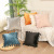 2021 New Super Silky Ins Wind Pillow Cover Bright Velvet Cushion Handmade Exquisite Affordable Luxury Style