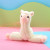 Cute Alpaca Grass Mud Horse Prize Claw Doll Plush Key Chain Backpack Doll Schoolbag Pendant Taobao Supply Wholesale