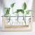 Hydroponics Plant Transparent Wooden Stand Vase Desktop Fresh Container Living Room Modern Decorations Ornaments