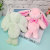 Cute Long-Ear Rabbit Plush Doll Pendant Cartoon Key Button Big-Ear Rabbit Doll Schoolbag Pendant Wholesale