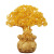 Citrine Pachira Macrocarpa Lucky Decoration Home Wine Cabinet Decoration Living Room TV Cabinet Small Money Tree Opening Gift