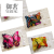 Refridgerator Magnets Double-Layer Butterfly Magnet Decorative Magnetic Sticker Butterfly Set 12 PCs Creative Butterfly Stickers