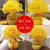 Citrine Pachira Macrocarpa Lucky Decoration Home Wine Cabinet Decoration Living Room TV Cabinet Small Money Tree Opening Gift