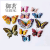 Luminous Double Layer Set Magnetic Butterfly Interior Decoration 3D Stereo Wall Sticker High Simulation Butterfly Decoration