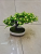 Artificial Flower Greenery Bonsai New Plastic Millet Orchid Living Room Bedroom Desk Decoration Small Ornaments Artificial Flower