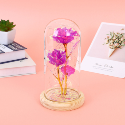 Creative Gift Valentine's Day Gift Glass Cover Colorful Gold Rose Preserved Fresh Flower Birthday Gift for Girlfriend