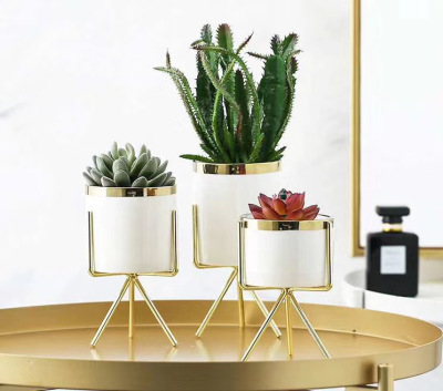 Nordic Instagram Style Creative Simple Succulent Flower Pot