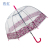 Factory Direct Supply New Poe Transparent Machine Printing Ins Style Straight Umbrella Adult Umbrella Apollo Umbrella