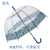 Factory Direct Supply New Poe Transparent Machine Printing Ins Style Straight Umbrella Adult Umbrella Apollo Umbrella