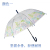 Factory Direct Supply New Eva 3D Full Printing Straight Umbrella Adult Umbrella Environmental Umbrella