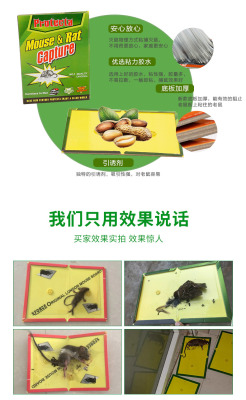 Spot Hot Sale Factory Direct Sales Strong Mouse Sticker Mouse Trap Sticker Glue Mouse Traps Fly Coil Cockroach Stick