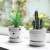 Nordic Simulation Plant Cactus Ornaments Creative Succulent Pot Ins Decorative Greenery Fake Flower Desktop Small Bonsai