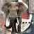 5D Painting Hot Sale 40 * 40cm Stereo Picture Animal Elephant