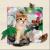 5D Painting Hot Sale 40 * 40cm Three-Dimensional Picture Children's Cat