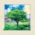 5D Painting Hot Sale 40 * 40cm Three-Dimensional Picture Hanging Painting Trees Pastoral