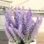 [Small Wholesale] Artificial Lavender Pot Artificial Plant Decoration Living Room Interior Fake Green Plant Small Ornament Decoration