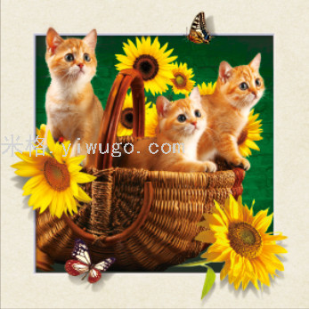 5D Painting Hot Sale 40 * 40cm Three-Dimensional Picture Children's Cat