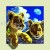 5D Painting Hot Sale 40 * 40cm Stereo Picture Animal Lion