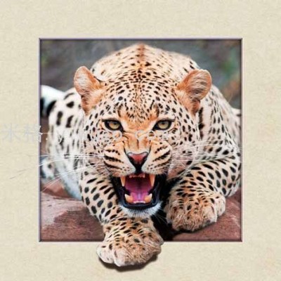 5D Painting Hot Sale 40 * 40cm Stereo Picture Animal Leopard