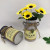 Retro Distressed Linen Iron Bucket Flower Bucket Flowerpot and Flower Vase Decoration Ornaments Decor Props Flower European Style Milk Pot