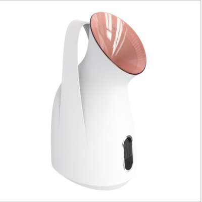 New Portable White Facial Spray OEM Spray Household Water Replenishing Instrument